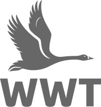 wwt 1
