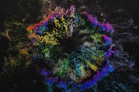 An explosion of colour